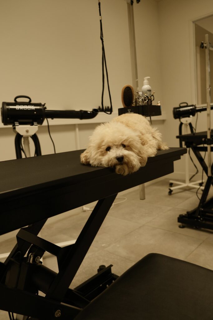 Afbeelding zonder ALT