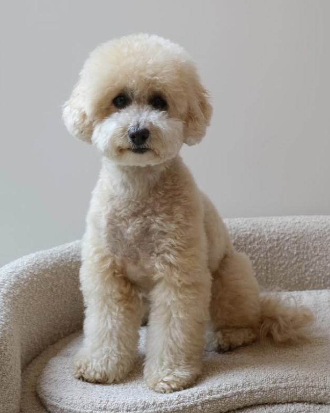 Afbeelding zonder ALT