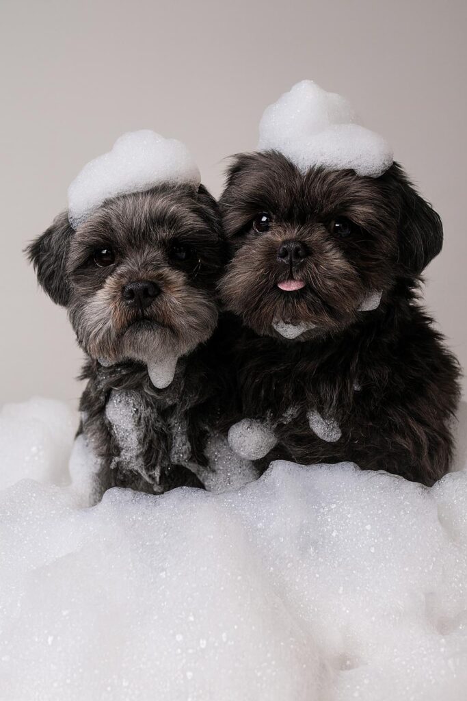 Afbeelding zonder ALT